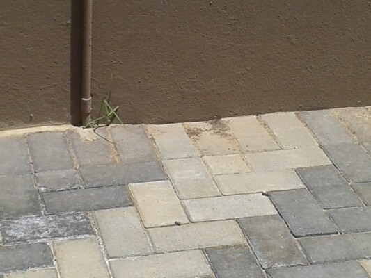 Steyns Paving