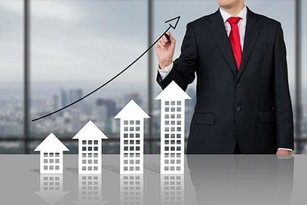 Pieter Kotze Properties