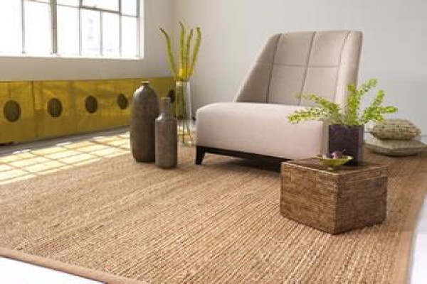 Carpet Pro's