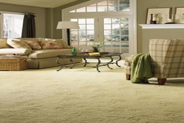 Carpet Pro's