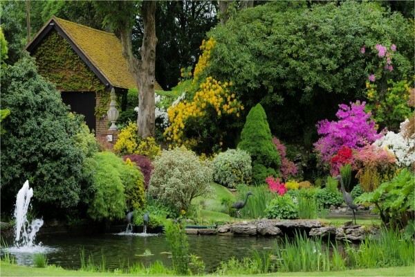 Gardenshop (Pty) Ltd:ALPHA CALL