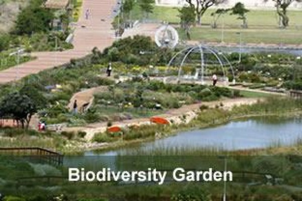 Urban Landscape Solutions