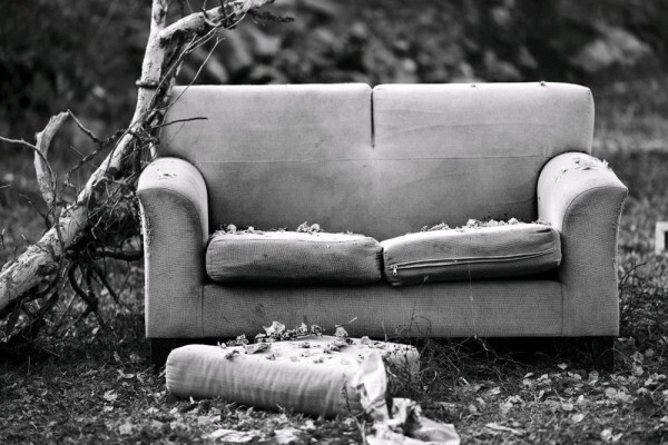 Ascot Upholstery
