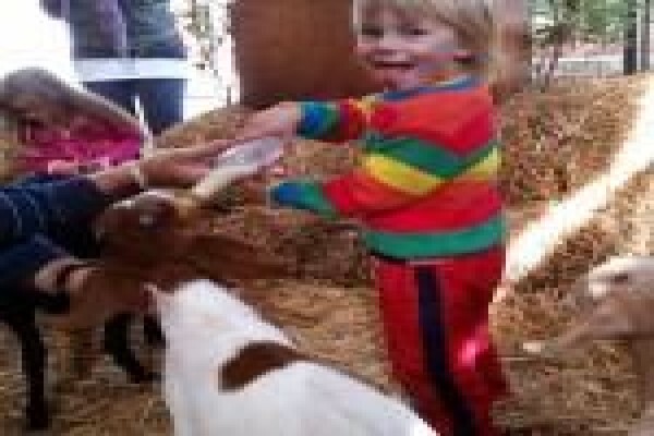 Kid's Republic Playschool