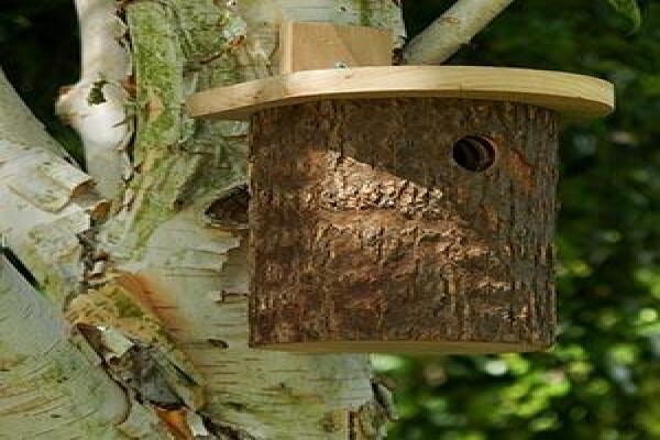 Tree Fellows