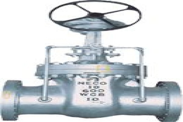 Process Valve Corp CC