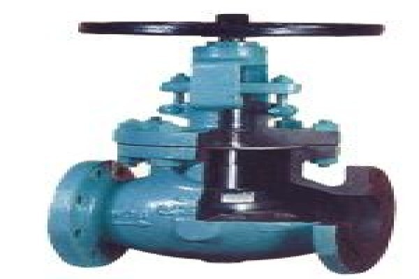 Process Valve Corp CC