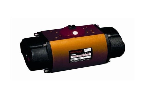 Process Valve Corp CC