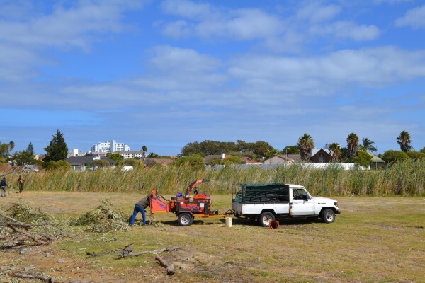 Forester Venter Tree Fellers