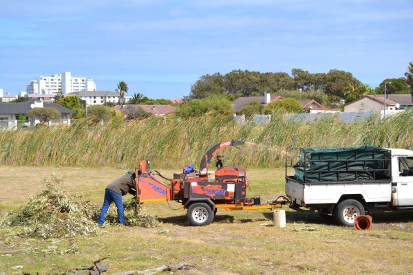Forester Venter Tree Fellers