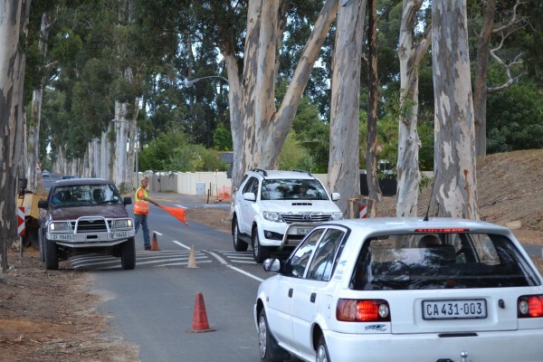 Forester Venter Tree Fellers