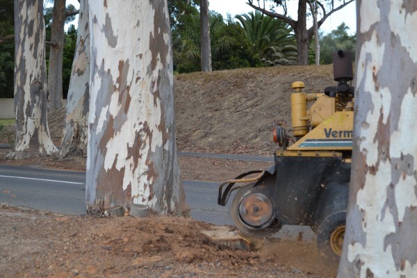 Forester Venter Tree Fellers