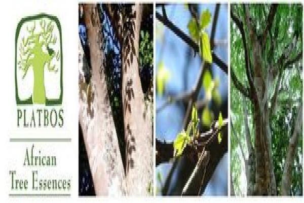 Krige Francois Tree Services