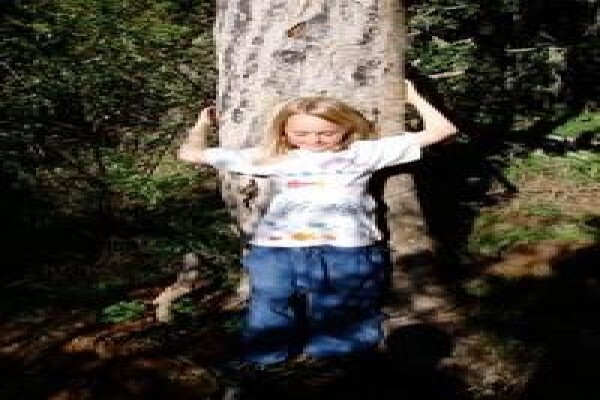 Krige Francois Tree Services