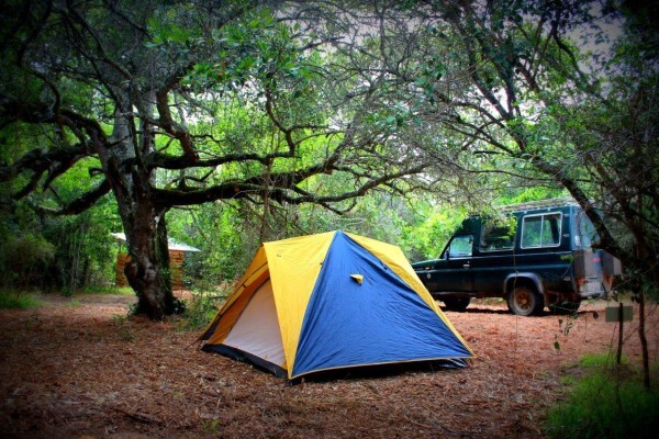 Krige Francois Tree Services