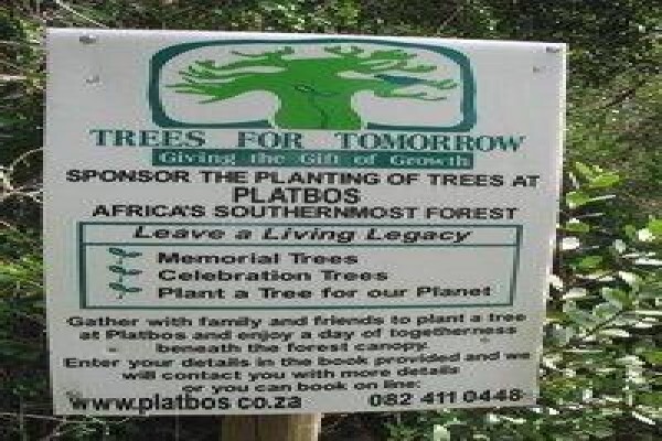 Krige Francois Tree Services