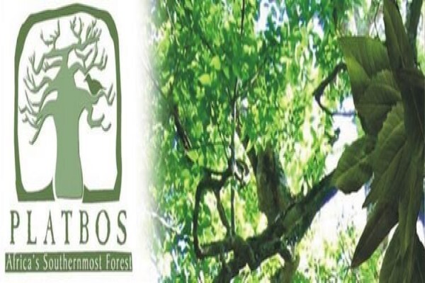Krige Francois Tree Services