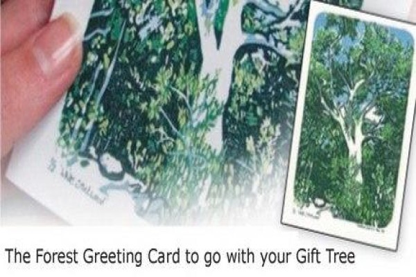 Krige Francois Tree Services