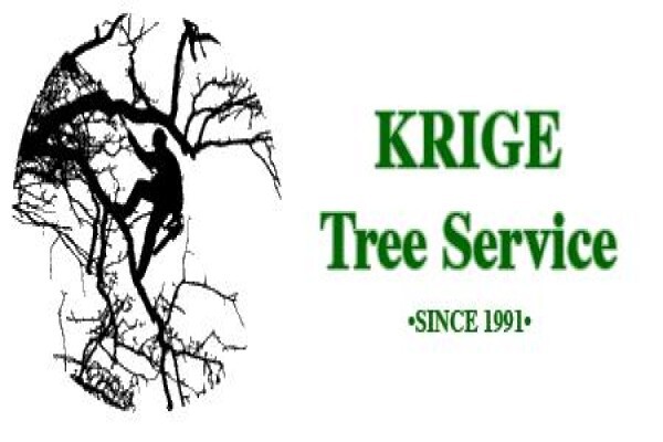 Krige Francois Tree Services
