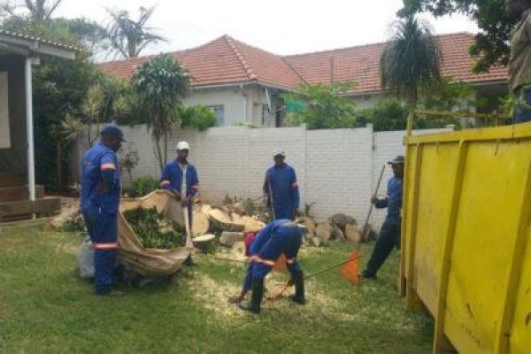 Charlie's Tree Felling