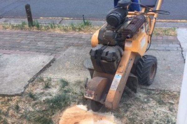 Stump Easy