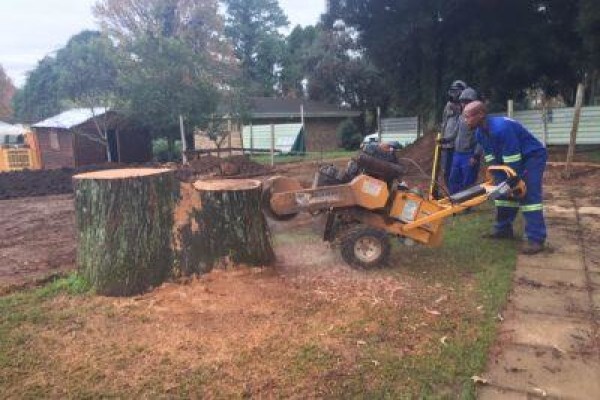 Stump Easy
