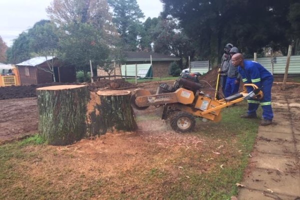 Stump Easy