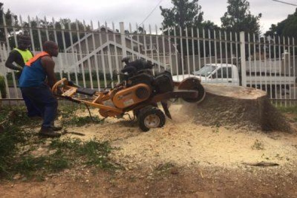 Stump Easy