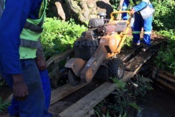 Stump Easy