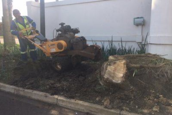 Stump Easy