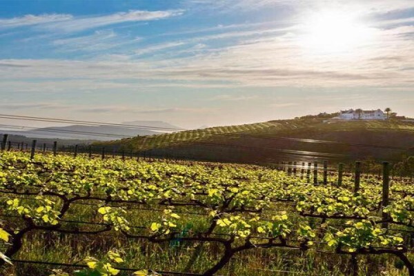 Quoin Rock Winery