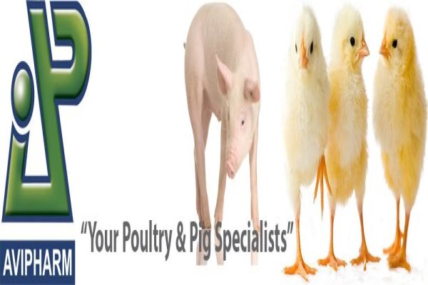Avi Pharm Gauteng (Pty) Ltd