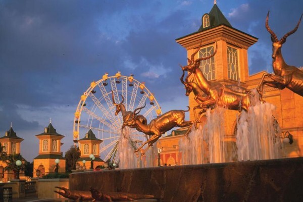 Incredible Tours & Travel