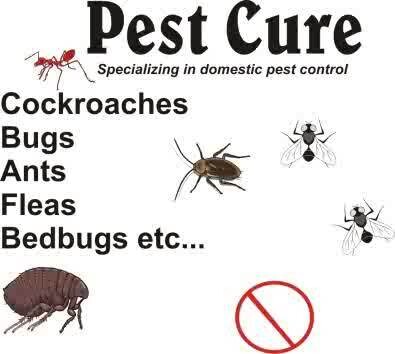 NRE PEST CONTROL