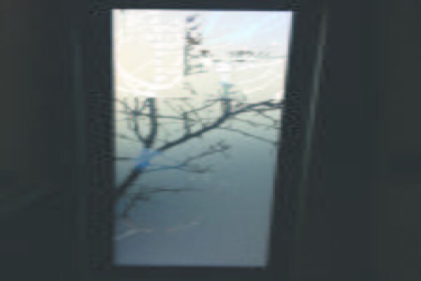 Window Art.co.za