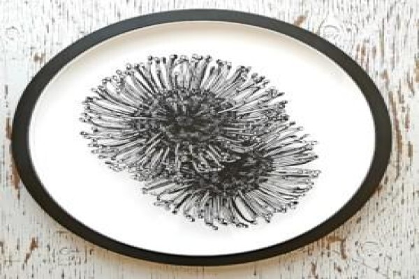 Rust-En-Vrede Gallery Durbanville