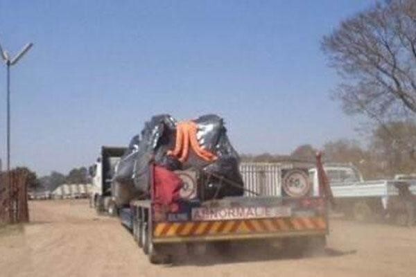 Into Africa Project Logistics
