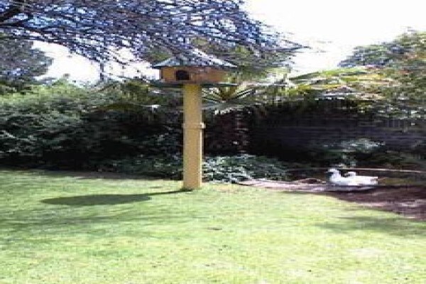 Amaziah Guesthouse