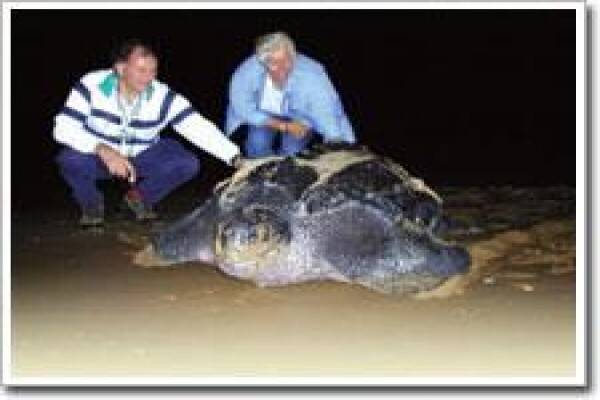 Rhino Coast Guest House