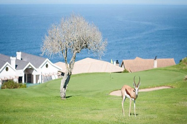 African Oceans Manor On The Beach