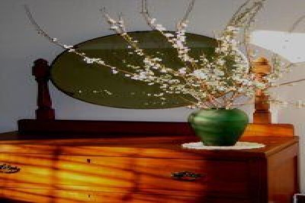 Lemontree House The
