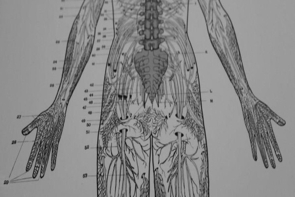 Chris Muller Dr