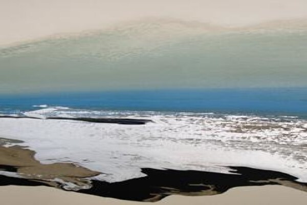 The Lisa King Gallery