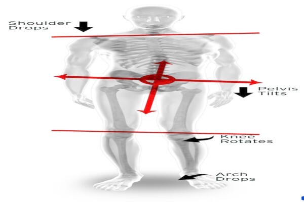 Atlantic Chiropractic Health Centre