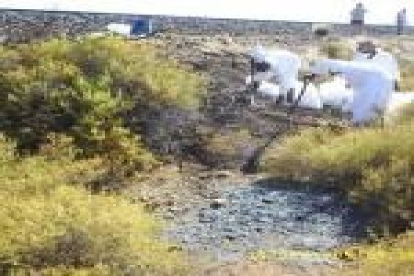 Cape Asbestos Removals