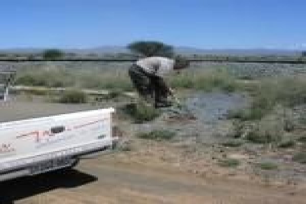 Cape Asbestos Removals