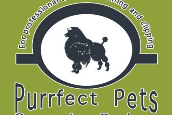 Pet's Palace Boarding Kennels