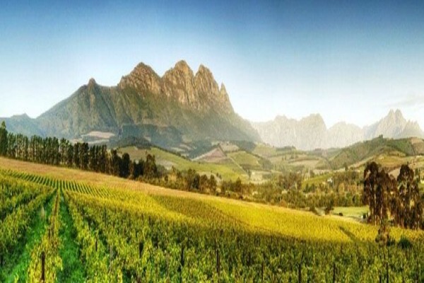 Stellenbosch Tourism Information