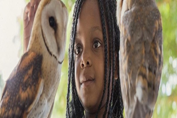 Stellenbosch Tourism Information