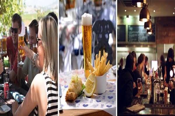 Stellenbosch Tourism Information